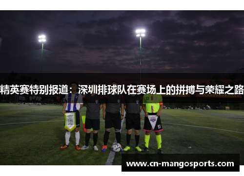 精英赛特别报道：深圳排球队在赛场上的拼搏与荣耀之路